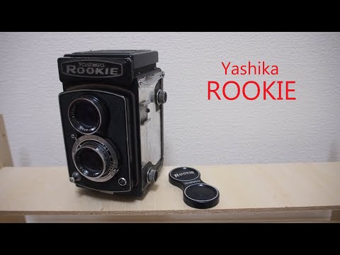 キラキラ感　春のきらめき　YASHICA ROOKIE　FOR　INTERIOR Yashica ROOKIE - YouTube
