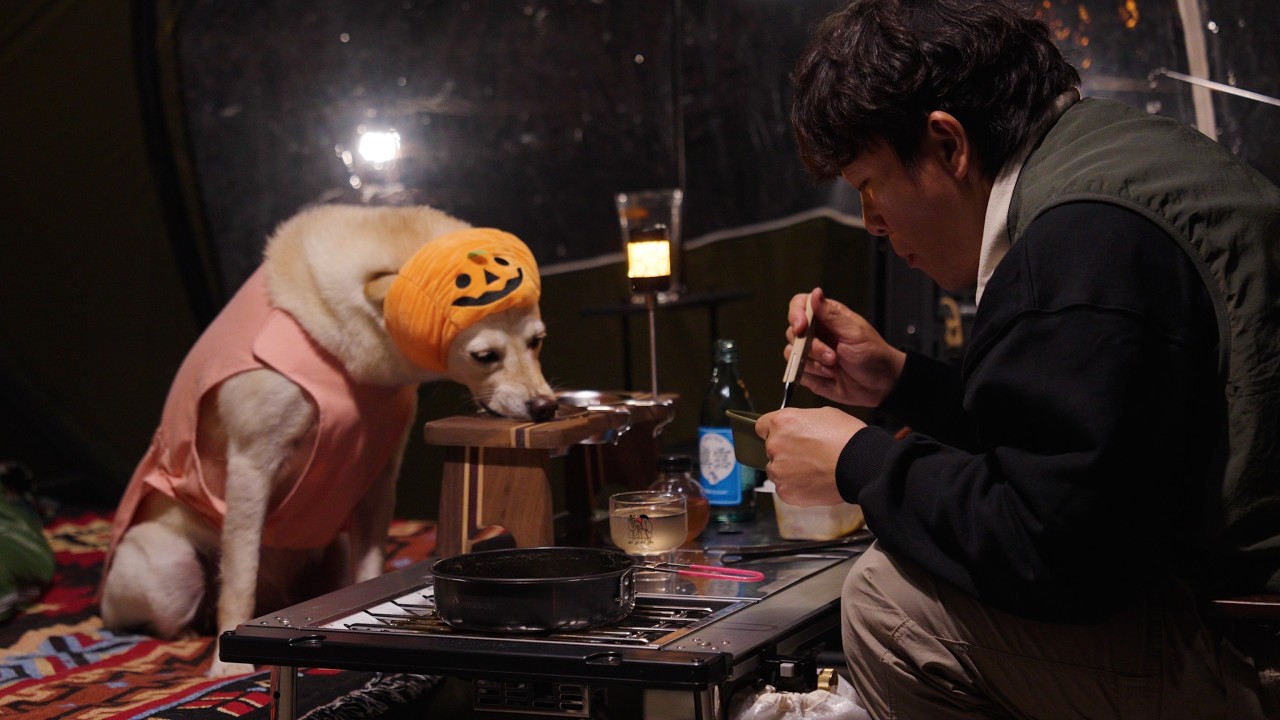 Первый огонь сезона — поход на Хэллоуин с моей собакой 🎃🔥