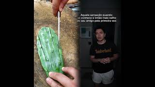 QUANDO VOCÊ CONHECE O IRMÃO MAIS VELHO DO SEU AMIGO 😹