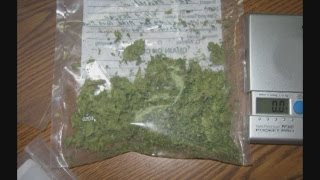 Drugs, guns seized from suspected dealer