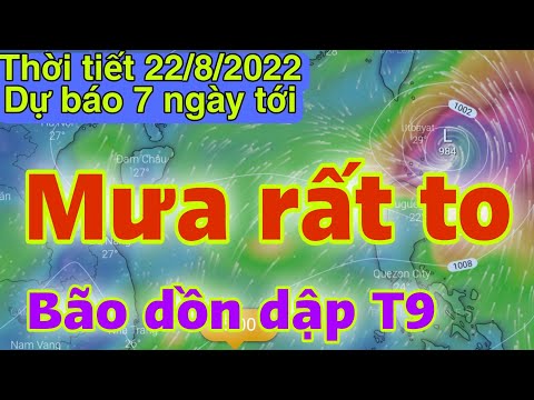 Video Dự báo thời tiết hôm nay và ngày mai 22/8 | dự báo bão... - youtube