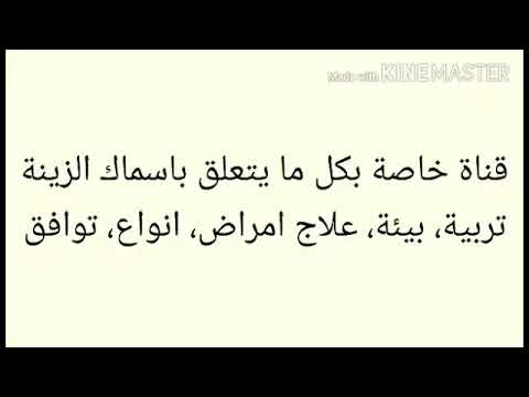 فيديو: ماذا يعني ذلك عندما تشوه القط في نومه؟