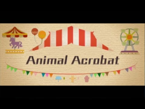 Which animal is an acrobat?