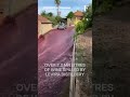 Watch river of red wine floods streets in portugals coastal town