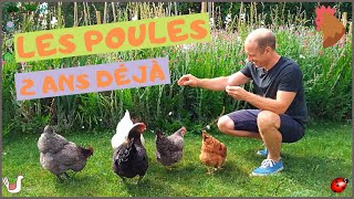 LE POULAILLER - 2 ANS DÉJÀ ! Le bilan