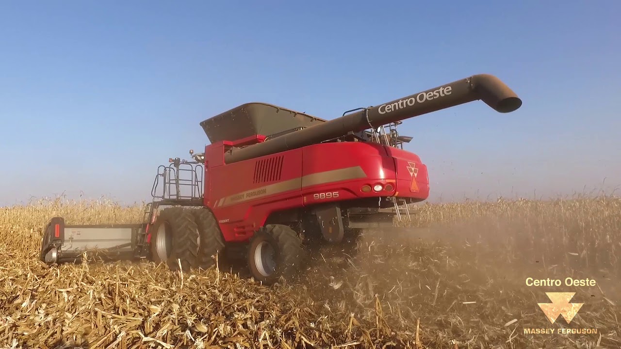 Colheita de Milho Safra 2018- MF 9895