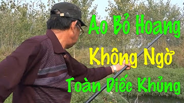 Câu Cá Tự Nhiên Ở Ao Bỏ Hoang, Không Ngờ Nhiều Cá Diếc Khủng Đến Vậy