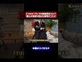 トゥモローランドの価格設定ミス?!職人が完敗を認めた驚愕のコスパ