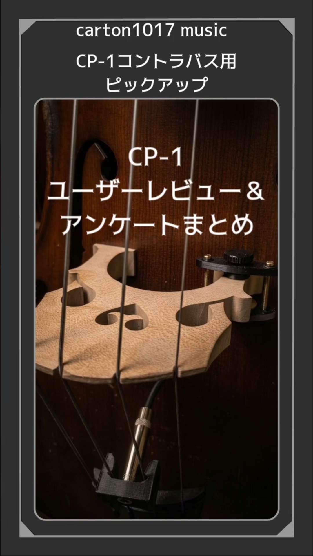 コントラバスピックアップCP−1レビュー #cp1 #コントラバス #ウッド