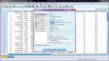 Select a random sample from your dataset to analyse in SPSS