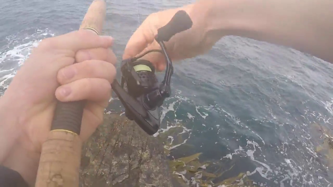 Eagle Hawk Neck Spinning from the rocks Tasmania YouTube
