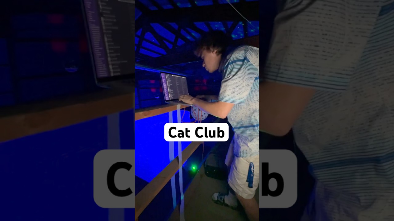 I Built A Night Club For My Cat!