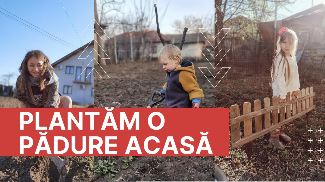 PLANTĂM O PĂDURE ACASĂ! LIBERI PE ULIȚĂ!