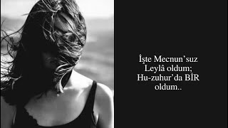 Ahmet Kaya - Layla Resimi