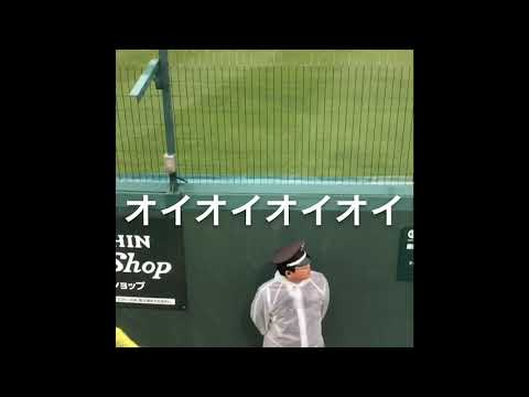雨の中の阪神タイガースのラッキー7
