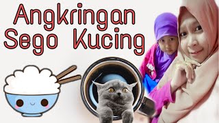 Makanan Favorite kita kalau malam || angkringan sego kucing