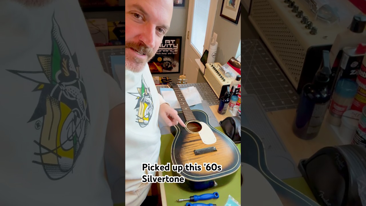 1960s Silvertone Parlor Guitar Fade Pattern! 