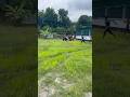 #agro #cow #bull #dhaka #viralvideo #animals #farm #goru #গরু #viralshorts #bangladesh #shorts
