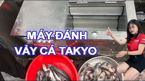 làm sạch vảy cá rô đồng bằng máy đánh vảy cá công nghiệp tự động takyo