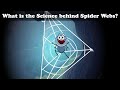 What is the Science behind Spider Webs? + more videos | #chumpum #kids #children #science