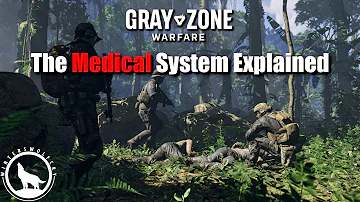 Gray Zone Warfare - The Medical System Explained!