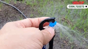 giới thiệu dòng béc p32 với lưu lượng 32 lít/h  cho mỗi gốc 🥰