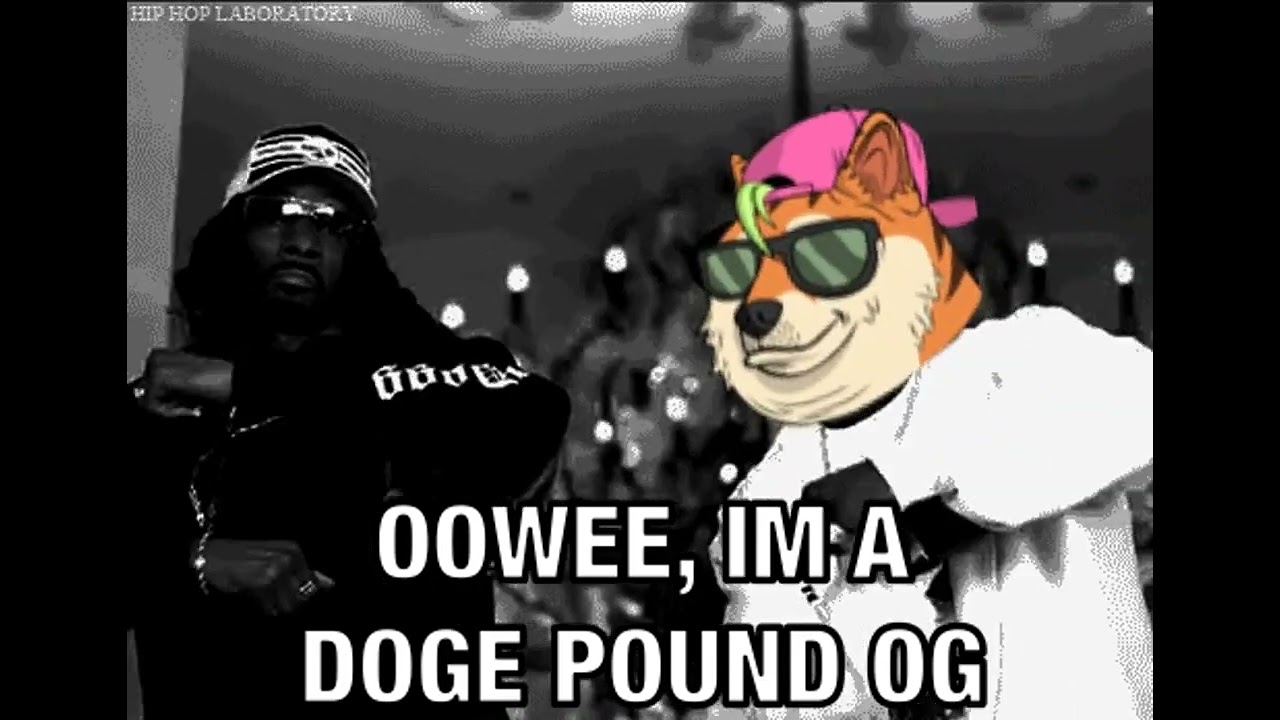 Xenony - Planet Brasil