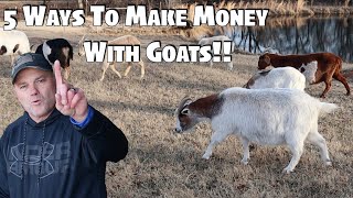 बकरियां पालने से पैसे कमाने के 5 तरीके