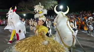 Bumbameuboi King Of The Cattle 2025 parnaba Xxii Meeting Of Fun In Buriti Dos Lopes Piau