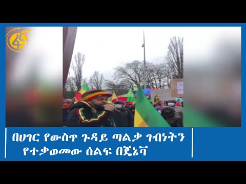 በሀገር የውስጥ ጉዳይ ጣልቃ ገብነትን የተቃወመው ሰልፍ በጄኔቫ