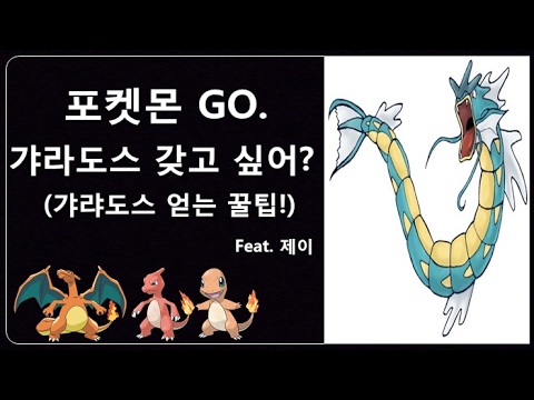 [제이] 포켓몬고 갸라도스 쉽게얻는 꿀팁 들어와봐!!!! 포켓몬go. 포켓몬고 좌표!
