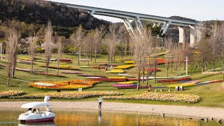 Awaji Island, Hyogo | Japan Travel