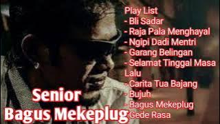 Download lagu Senior full Album Bagus Mekeplug