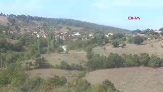 Bayramiçte Koçun Boynuzladığı Yaşlı Kadın Öldü