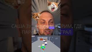 Новый вид энергетиков от Димы Гардея #beluga #gameplay #txpstudio #мем #мемы #майнкрафт #megamod