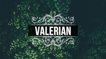 Herbs, Roots & Resins - Valerian