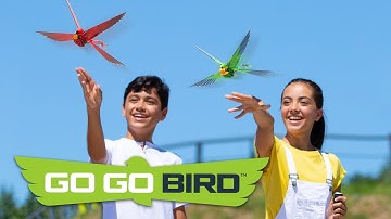 New GO GO BIRD! | In Stores Now
