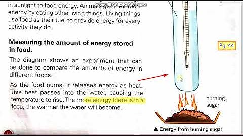 Class: 6th   Ch# 3 Energy resources (How do living things use energy?)