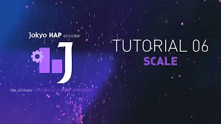 JOKYO HAP Encoder : Tutorial 06 : Scale Net Worth