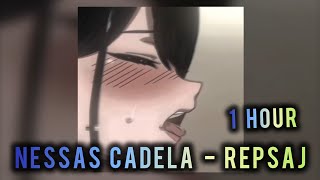 Download Lagu 1 HOUR || NESSAS CADELA · Repsaj || SUPER SLOWED+REVERB || SHIDOU EDIT MP3