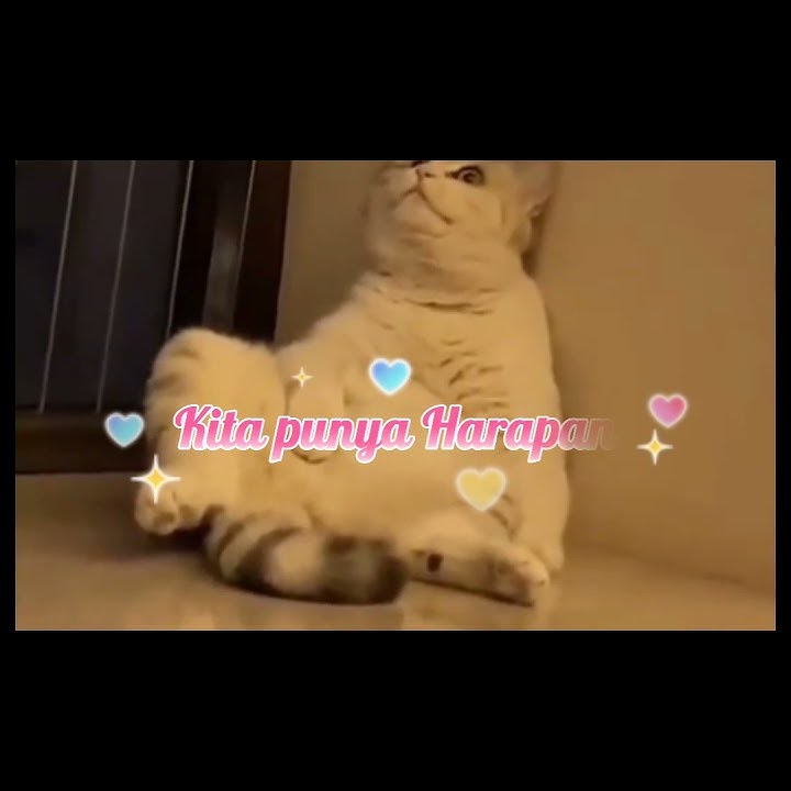 setatus wa kekinian lucu gokil