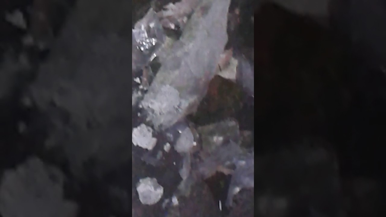 penampakan seram - YouTube