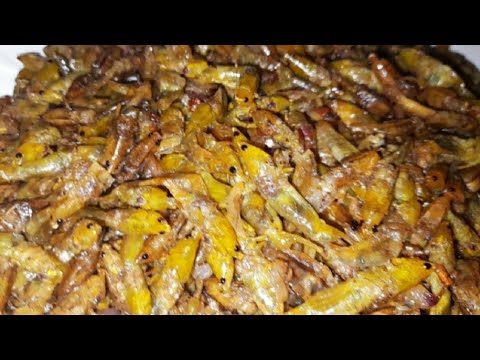 How To  Cook Grasshoppers | Delicious Grasshopper Recipe  (Eating Bugs)