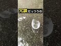 言葉は凶器になる#shorts