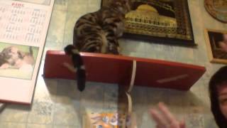 Capture 20141016 3