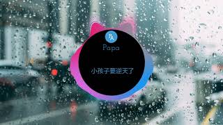 小孩子要逆天了 (DJ版) - 兮雅子  | nhạc tik tok | douyin | Papa Channel