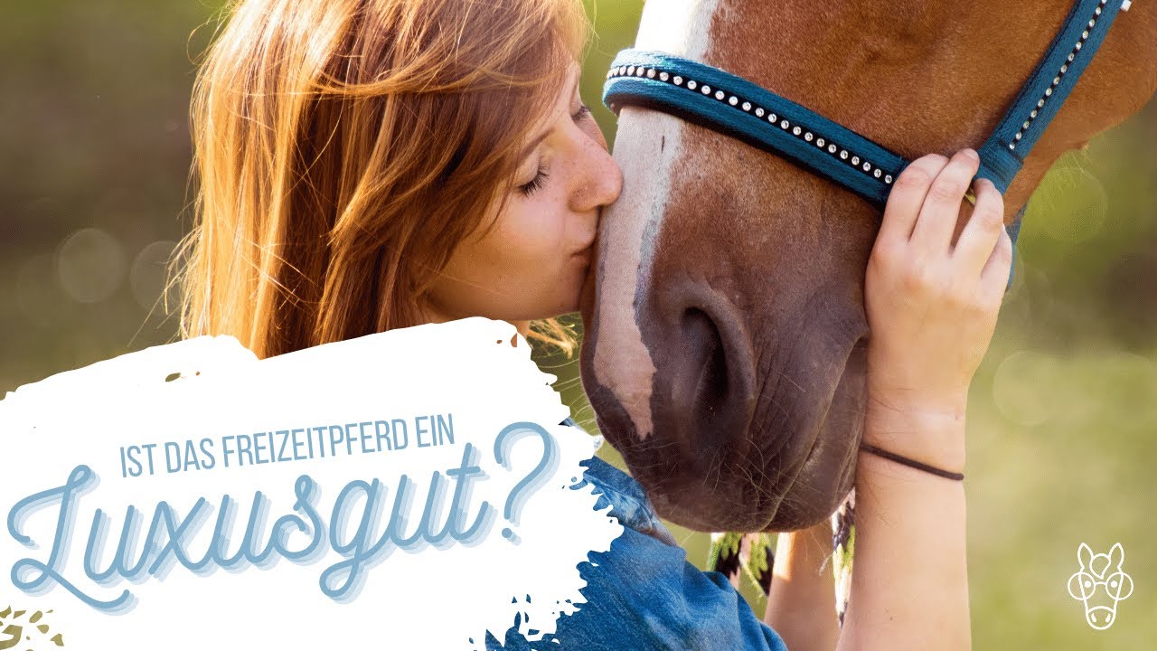 Ist das Freizeitpferd ein Luxusgut?