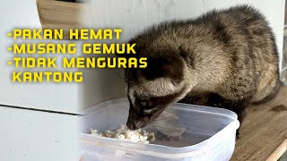 Tips For Economical And Fast Fattening Food For Ferrets