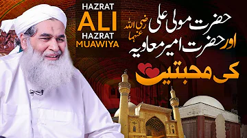 Hazrat Mola Ali Aur Hazrat Ameer Muawiya Ki Mohabbat | Shan e Muavia | Maulana Ilyas Qadri New Bayan