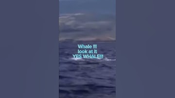 #taylorswift once said #swiftie4ever #erastour #erastour #singer #theerastour #lover #erastour